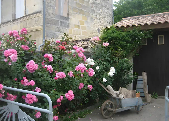 Le Bord De L'eau * Gauriac